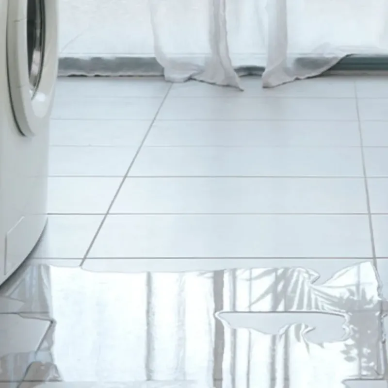 Appliance Leak Cleanup in Sweetwater, TN