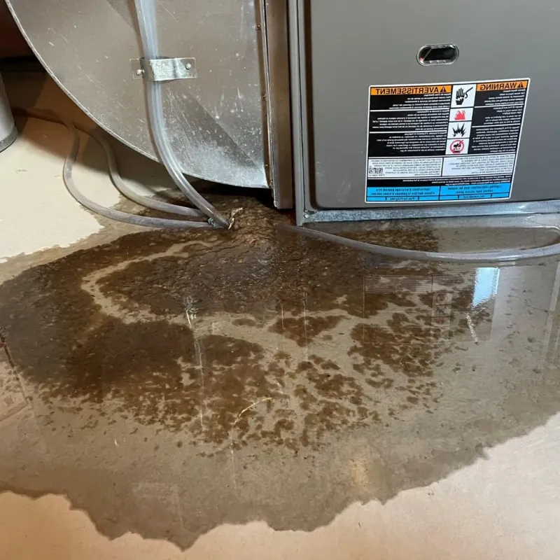 Pipe Burst and Leak Restoration in Sweetwater, TN