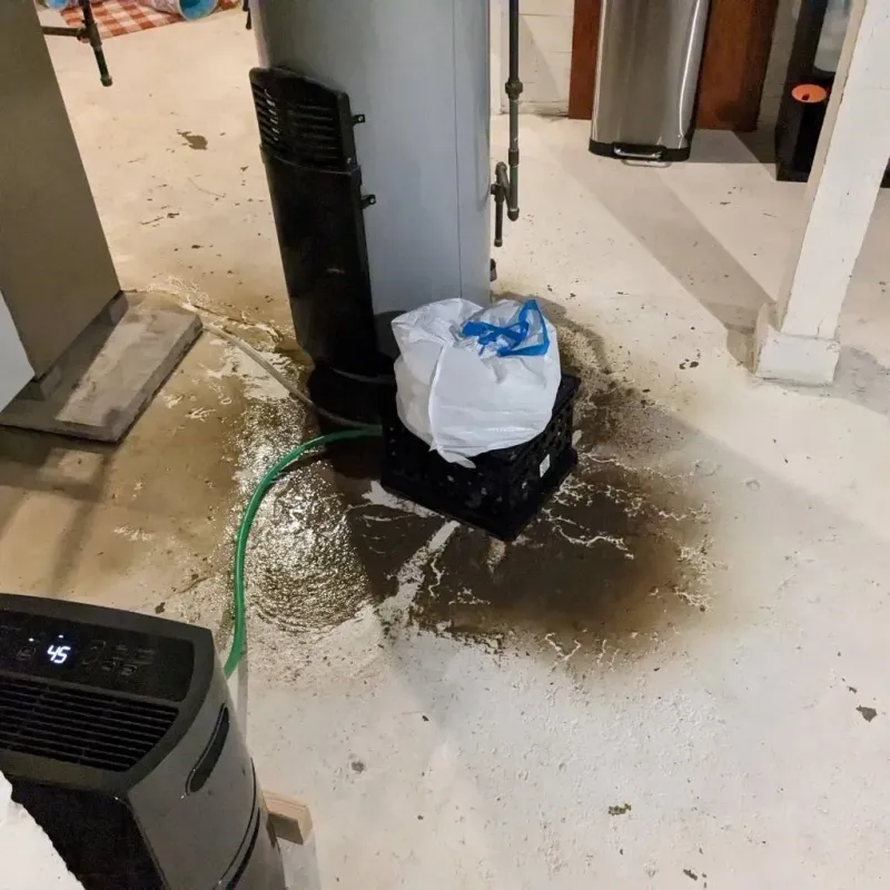 Sewage Backup Cleanup Service in Sweetwater, TN